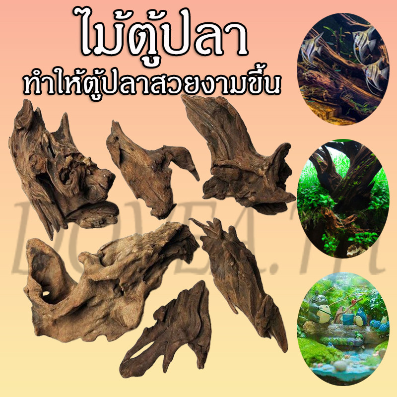 ไม้ตู้ปลา ไม้แต่งตู้ปลา พืชน้ำ ปลอมพลาสติก ตกแต่งตู้ปลา ทำให้สวยงามขึ้น