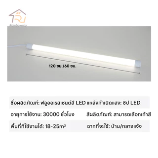 หลอดไฟ LED นีออนสี ไฟตกแต่ง ขั้วกันน้ำ ถูกที่สุด ไฟงานวัด หลอดสี ไฟพัด