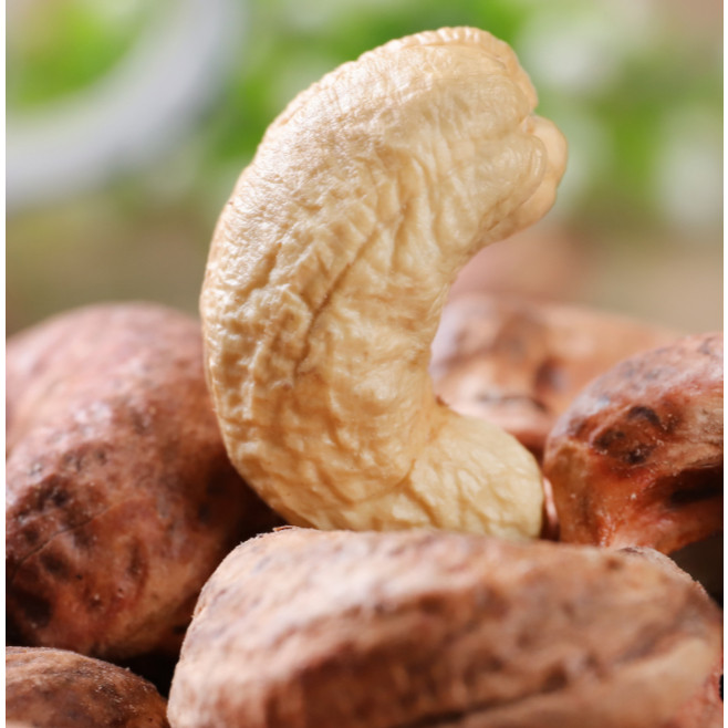 รูปภาพ 5