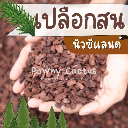 เปลือกสน นิวซีแลนด์ นำเข้า วัสดุปลูก กล้วยไม้ ไม้ประดับ มอนสเตอร่า ช่วยให้ดินโปร่ง ไม้ใบ ไม้ด่าง