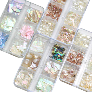 เล็บ 6 ช่องพร้อมการตกแต่งเปลือกหอยผสม เล็บตกแต่งเปลือกหอยเป๋าฮื้อธรรมชาติบางเฉียบ