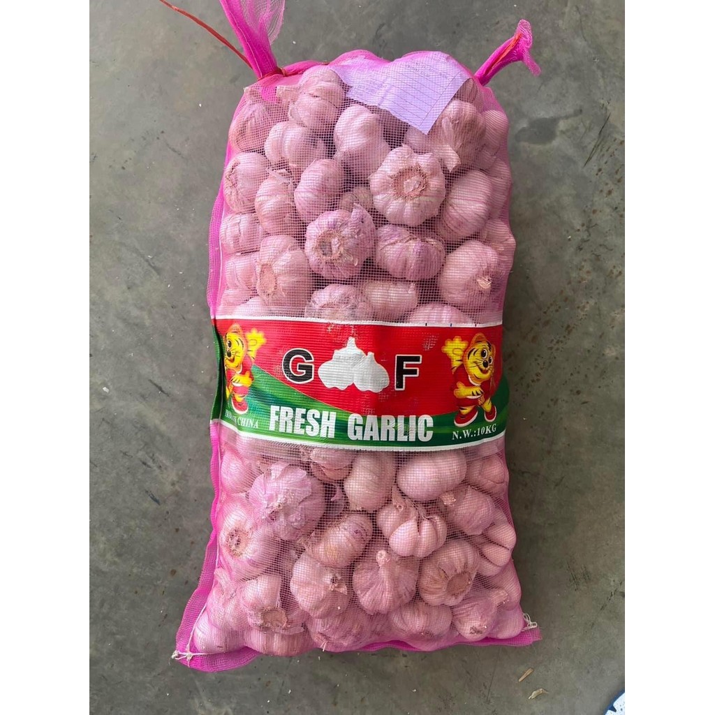 กระเทียมปิงปองหัว  ขนาด 5.0 เซน น้ำหนัก 1  กก.  ( คัดสวย) - รูปที่ 7