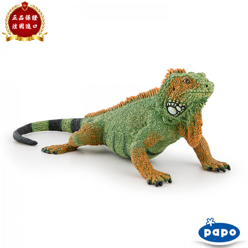 ★เด็กของเล่นรุ่นมาใหม่★PAPO France 2024 ใหม่ Iguana Iguana Iguana จําลองสัตว์รุ่นของเล่นเด็ก 50306