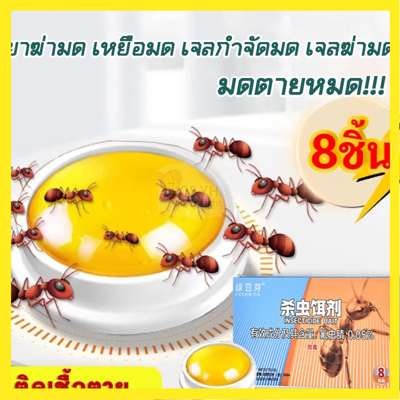 พร้อมส่ง เจลกำจัดมด กำจัดมด ยากำจัดมด 8 ชิ้น/กล่อง เป็นมิตรต่อคนและสัตว์เลี้ยงมาก เจลฆ่ามด ant killer