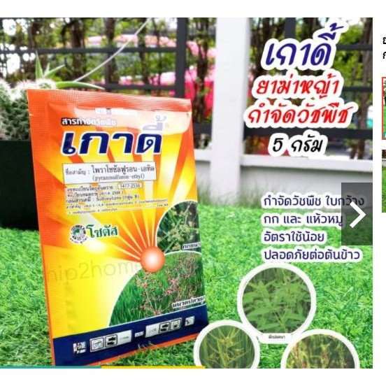 ยากำจัดหญ้าวัชพืช เกาดี้ ซอง 5กรัม สารกำจัดวัชพืชใบกว้างและกก ในนาข้าว เช่น แห้วหมู ผักปอดนา เทียนนา กกขนาก