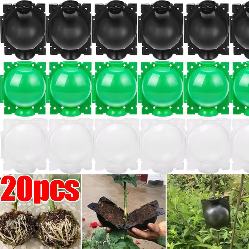 ชุดอุปกรณ์ประกอบพืชพร้อมหัวเข็มขัดแบบล็อคอัตโนมัติ | ลูกตอนกิ่ง 5 แพ็ค 11.7 ซม. ดีไซน์ควบคุมความชื้นสําหรับการเจริญเติบโตของราก 3 สี (สีดํา/เขียว/พลาสติกใส)