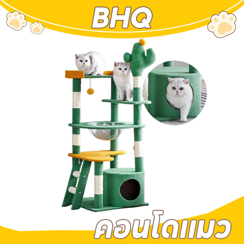 BHQ 5in1 ที่ลับเล็บแมว เตียงแมว ของเล่นแมว คอนโดแมวคอนโดแมว ที่นอนแมว เสาลับเล็บแมวได้ สูง 55~155cm