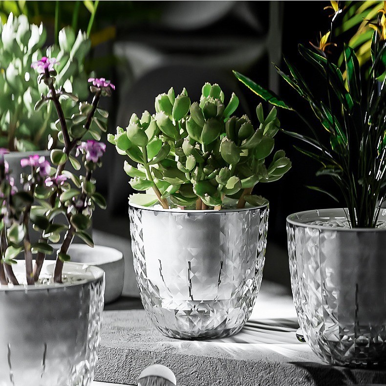 กระถาง​แบบใส กระถางต้นไม้ไฮโดรโปนิกส์ อัตโนมัติน้ํา สก์ท็อปก Mini Succulent Planter แจกันตั้งโต๊ะ ไม่ต้องรดน้ำเอง