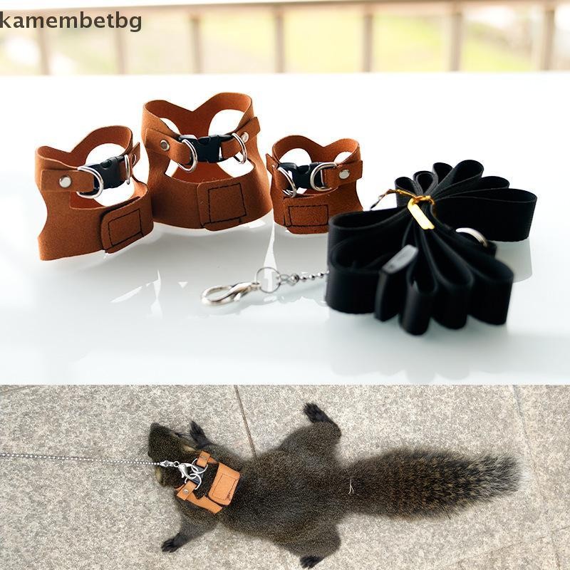 Kamembetbg เสื้อกั๊กสไตล์กระรอก Groundhog การฝึกอบรมกลางแจ้งเชือกดึงสําหรับสัตว์เล็กปรับ Outward ลากจูงเชือกอุปกรณ์สัตว์เลี้ยง TH