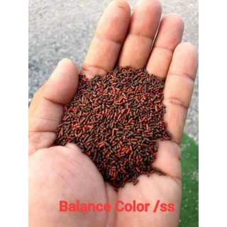 [2แถม1] อาหารปลาทองโชกุน Shogun for Goldfish สำหรับปลาทองทุกสายพันธุ์ ชนิดจมน้ำ ขนาด 250-500 กรัม