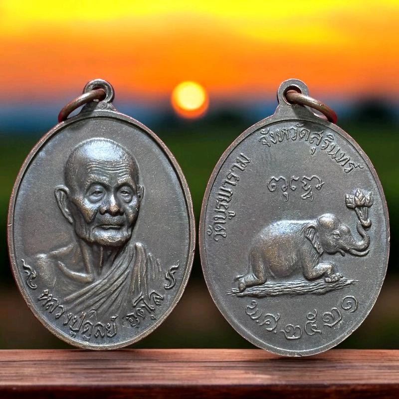 เหรียญหลวงปู่ดุลย์ เหรียญช้างหมอบ วัดบรูพาราม ปี2521