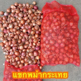 หอมแขกพม่า ไซส์กระเทย น้ำหนัก 2 กิโลกรัม