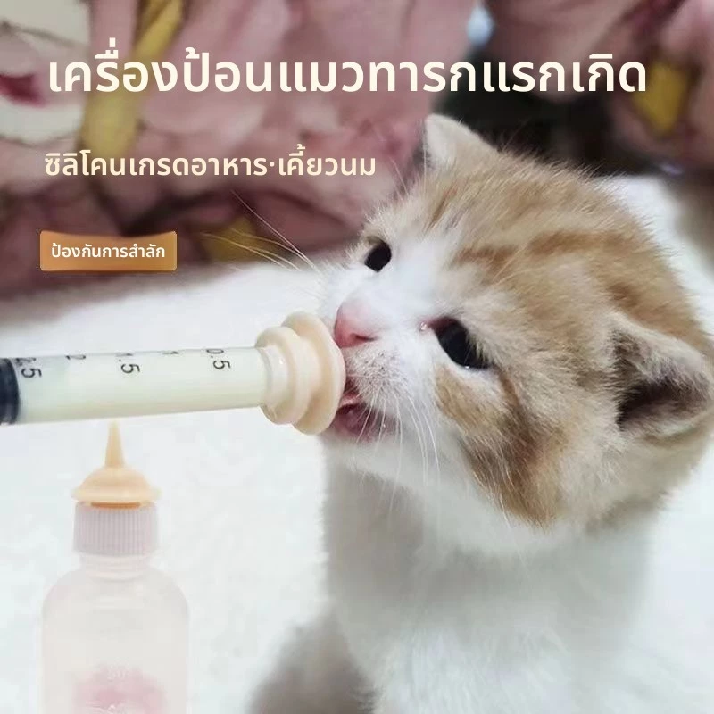 จุกนมซิลิโคน มินิ สำหรับลูกแมว-ลูกสุนัข-ลูกกระต่าย แรกเกิด thumbnail 10