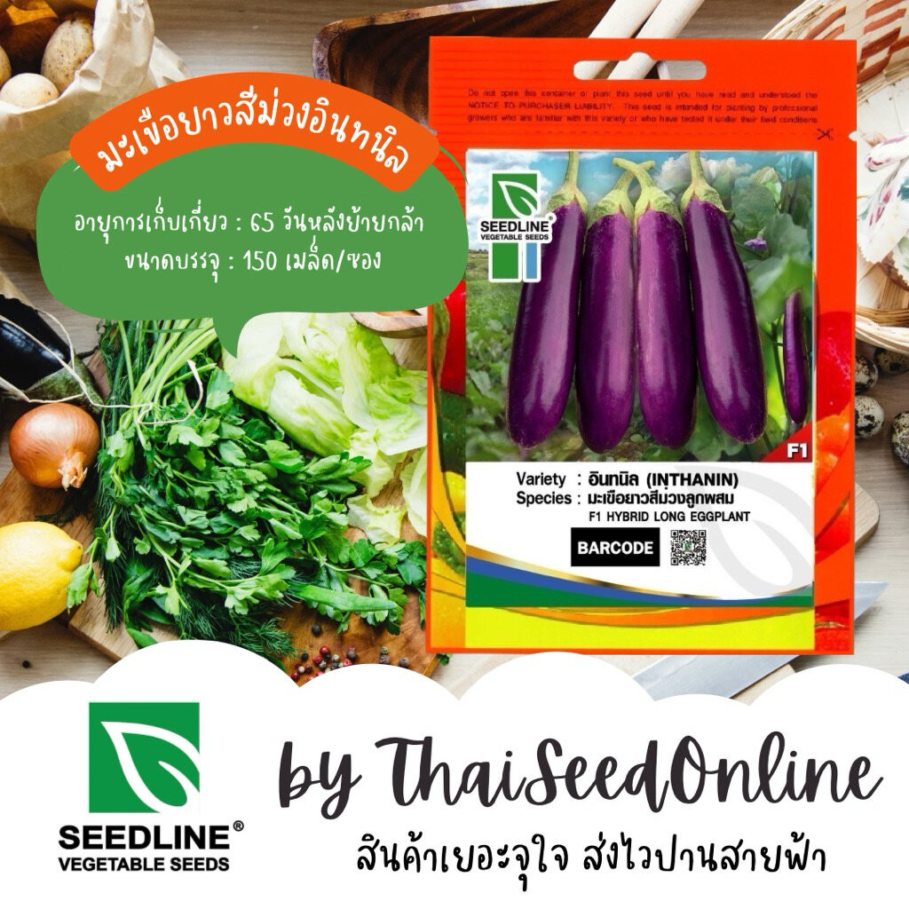 Seed Line(ซีดไลน์) SL เมล็ดพันธุ์ซองเล็ก มะเขือยาวสีม่วง อินทนินท์ ตราซีดไลน์ (Inthanin) Eggplant