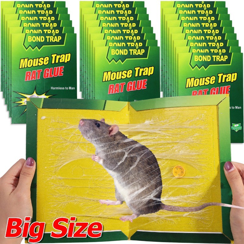 Heavy-Duty Mouse Board Sticky Rat Glue Traps - Indoors Outdoor Strong Adhesive Large Rat Catcher
