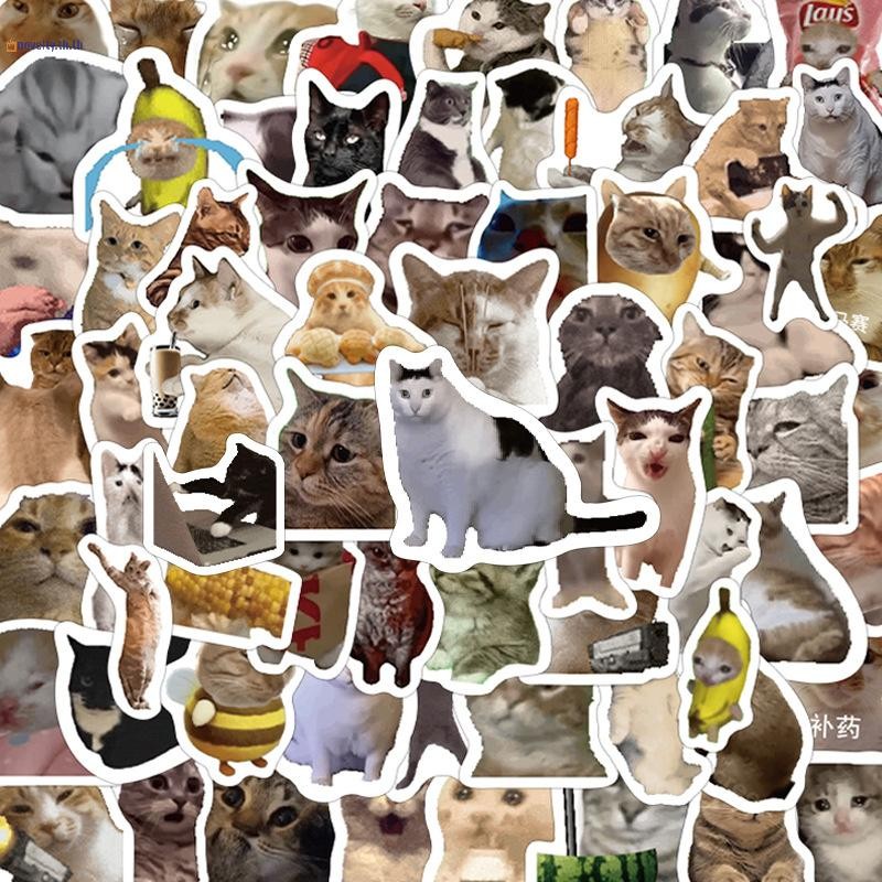 NLY 110 ชิ้นน่ารัก Emoji Meme Cat สติ๊กเกอร์ – Whacky Viral DIY Phone & Desktop Decorative สําหรับคนรักแมว N