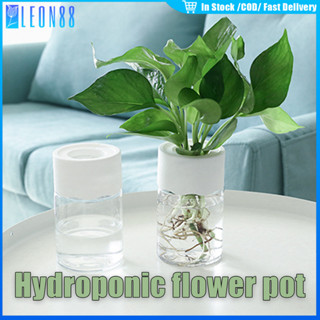 ของมาใหม่！กระถางต้นไม้ไฮโดรโปนิกเรซิ่น แบบใส สำหรับปลูกต้นไม…