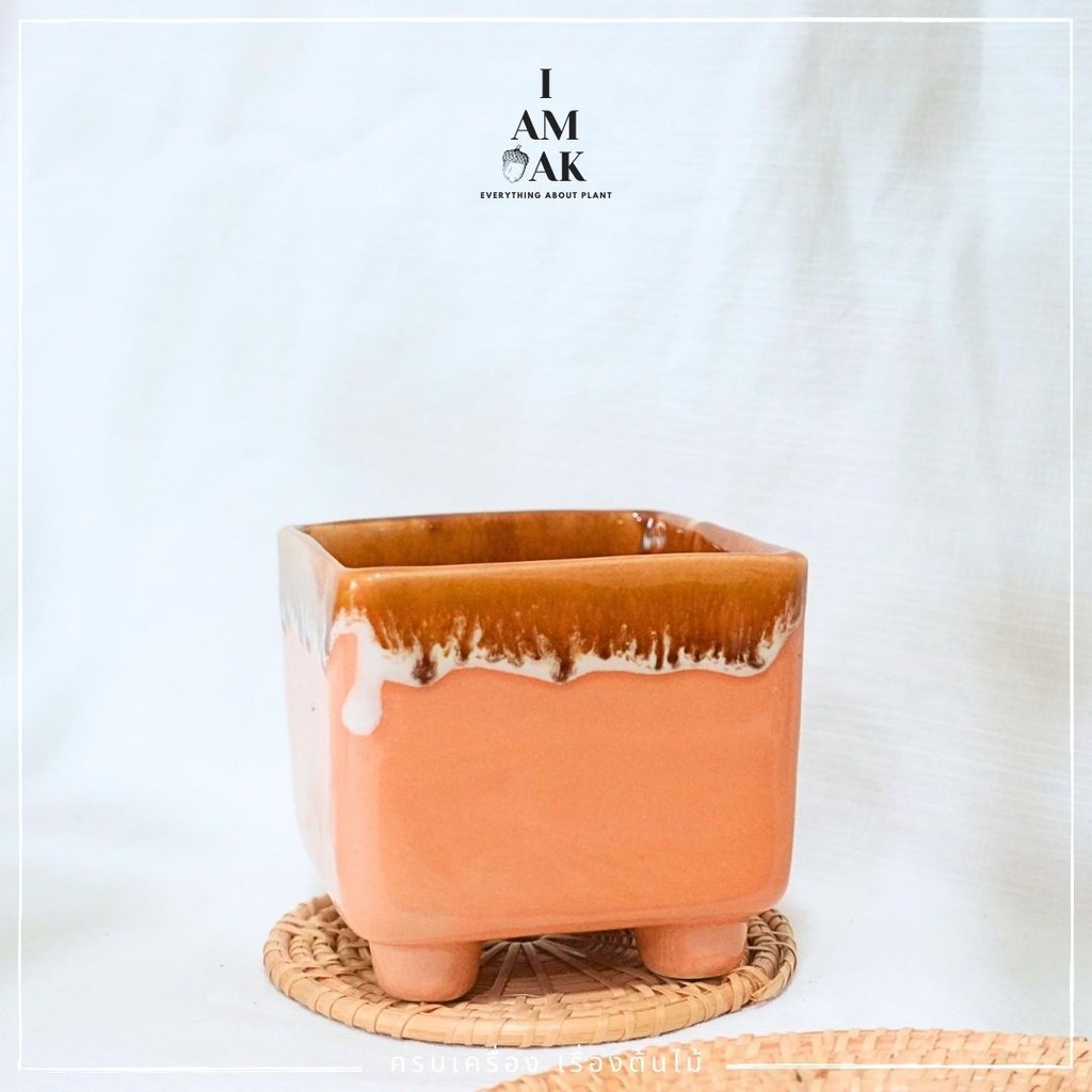 มุมมอง 3