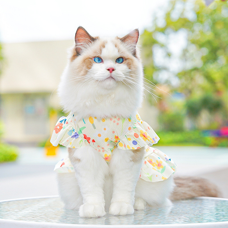 ชุดสุนัขฤดูร้อนผ้าไหมน้ําแข็งเสื้อผ้าสัตว์เลี้ยงสําหรับสุนัขแมวชุดสบายเย็น ส-6เอ็กแอล - รูปที่ 6