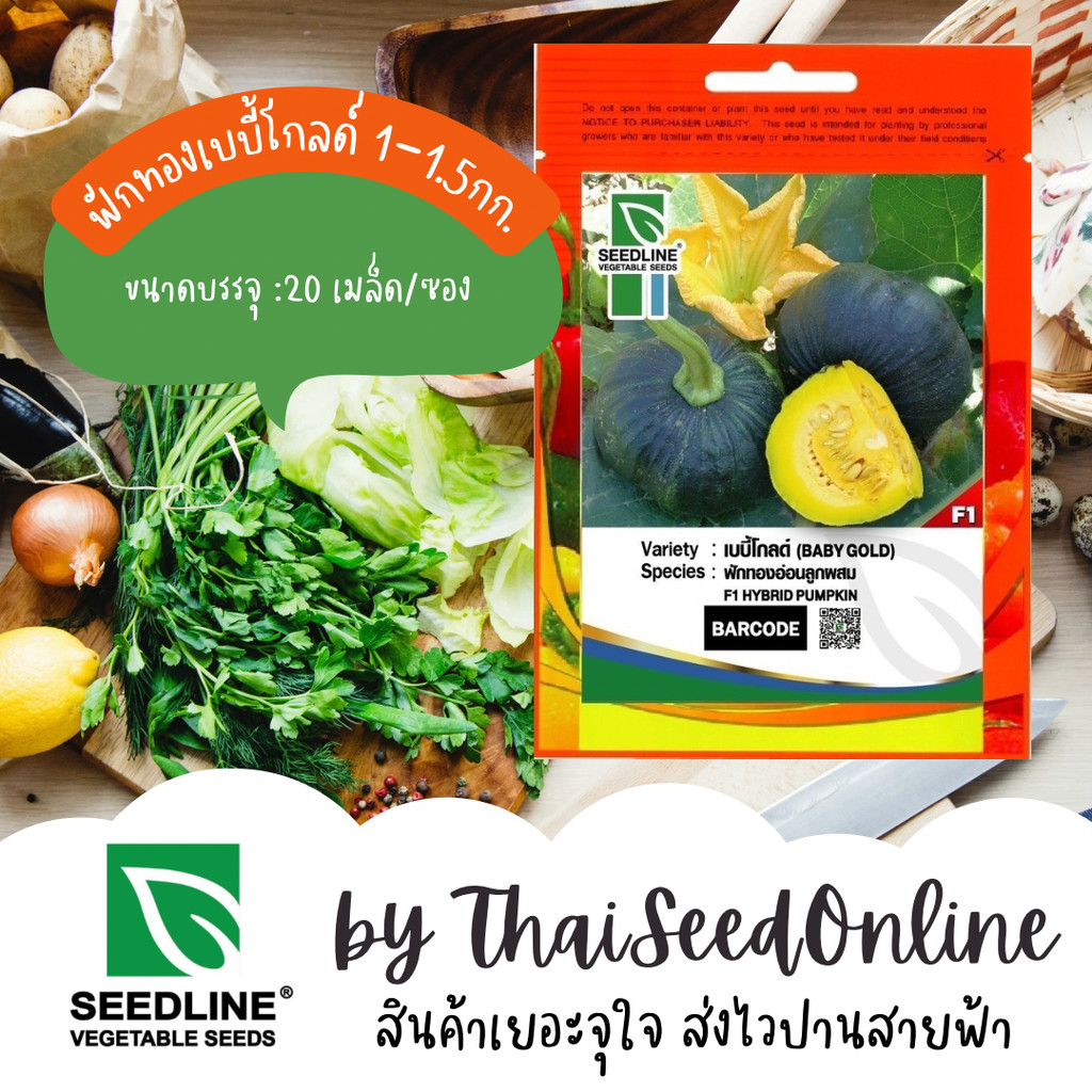 SL เมล็ดพันธุ์ ฟักทองบึงกาฬ ฟักทองอ่อนเบบี้โกลด์ ตราซีดไลน์ Pumpkin Baby Gold