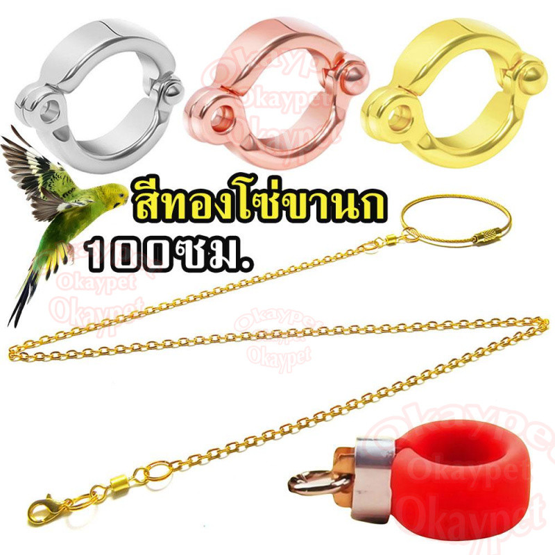 100ซม. สีทอง โซ่คล้องขานกสแตนเลส พร้อมห่วงขานก สายยืดคล้องขานก นกแก้ว ฟอพัส หงษ์หยก เลิฟเบิร์
