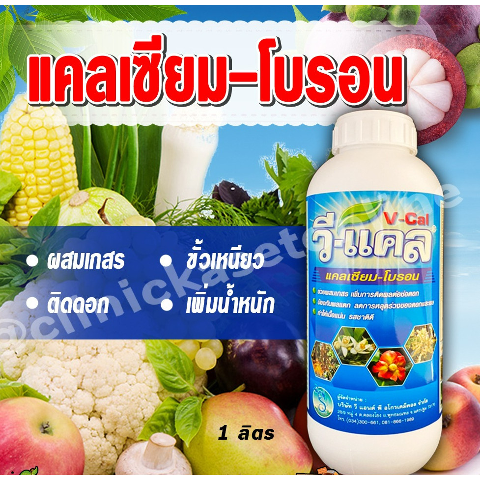 #วีแคล - แคลเซียม-โบรอน ( 1 ลิตร ) ธาตุอาหารรอง ธาตุอาหารเสริม ช่วยการผสมเกสร ป้องกันผลแตก ดอกหลุดร่วง ขั้วเหนียว