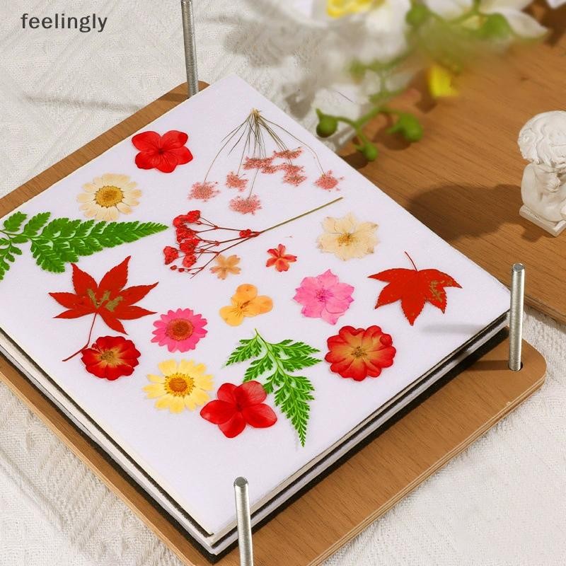 {S&H Jun} Flower Press Kit 5 ชั้นดอกไม้ไม้ Pressplete ชุดเก็บรักษาดอกไม้ Leaf Pressing สําหรับงานฝีมือ DIY ทําดอกไม้แห้ง {TH}