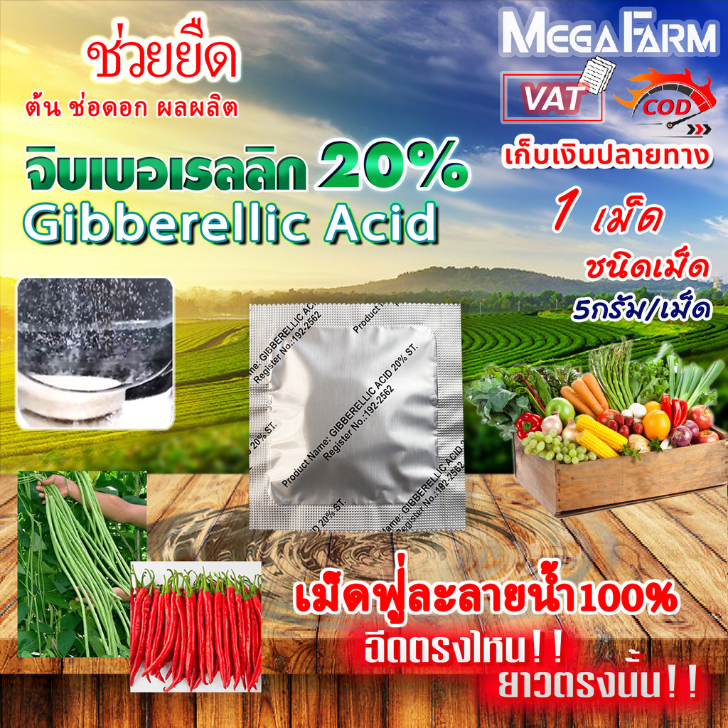 จิ๊บ20% SL 5ก. จิ๊บเม็ด จิบเบอเรลลิน Gibberellin จิบเบอเรลลิก แอซิด ชนิดเม็ด Gibberellic Acid (GA3)  1 เม็ด