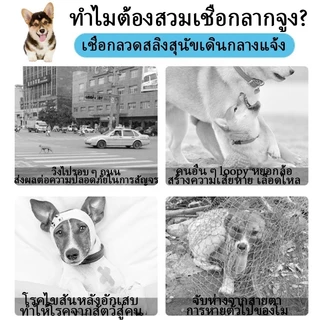 ส่งไว 🔥พร้อมตะขอเกี่ยว 2 ด้าน เชือกสุนัขสแตนเลสโซ่จูงสุนัข อุปกรณ์สัตว์เลี้ยง ลวดสลิงจูงสุนัข หัวเข็มขัดสแตนเลส 3 เมตร