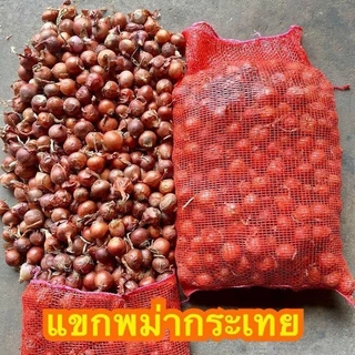 หอมแขกพม่า ไซส์กระเทย น้ำหนัก 2 กิโลกรัม