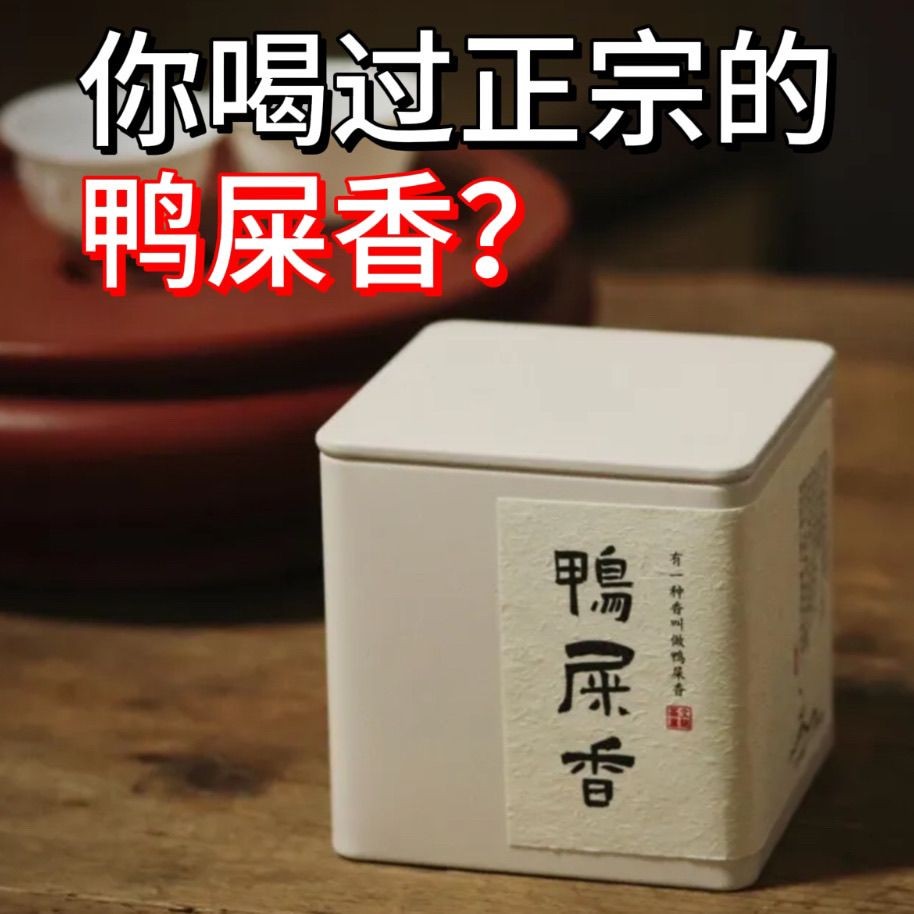 ชาคองเดี่ยวฟีนิกซ์จากกลิ่นหอมอึเป็ดเฟอร์, Mi Impatigue 单送茶 จากกลุ่ม香黑6.2香型型龙茶料理石口拼图