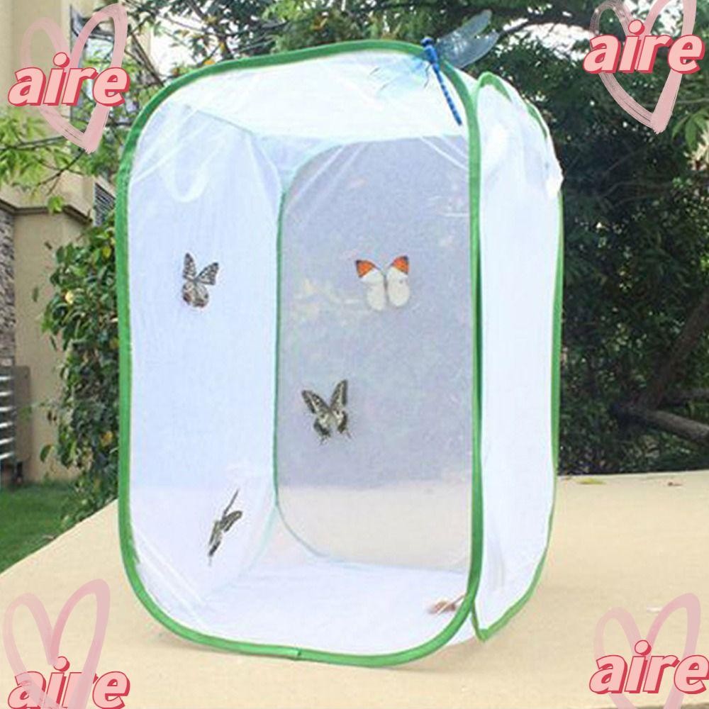 AIRE Butterfly Habitat, กรงแมลงแบบพับได้ป๊อปอัพ, ผ้ากลางแจ้งที่ใช้งานได้จริง Sunroom