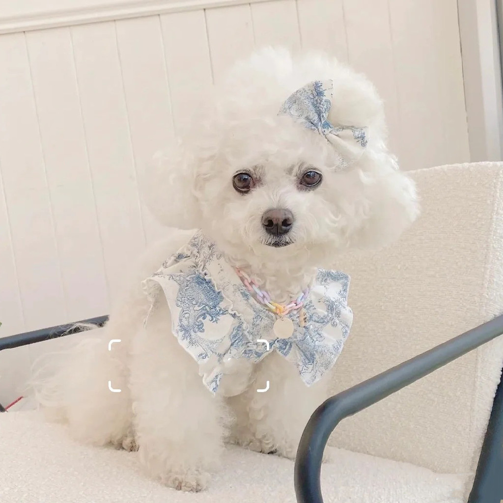 South Korea Cute Lace Bow Rabbit Puppy Cat Hand Holding Rope Teddy out Dog Breast Strap with Tractio