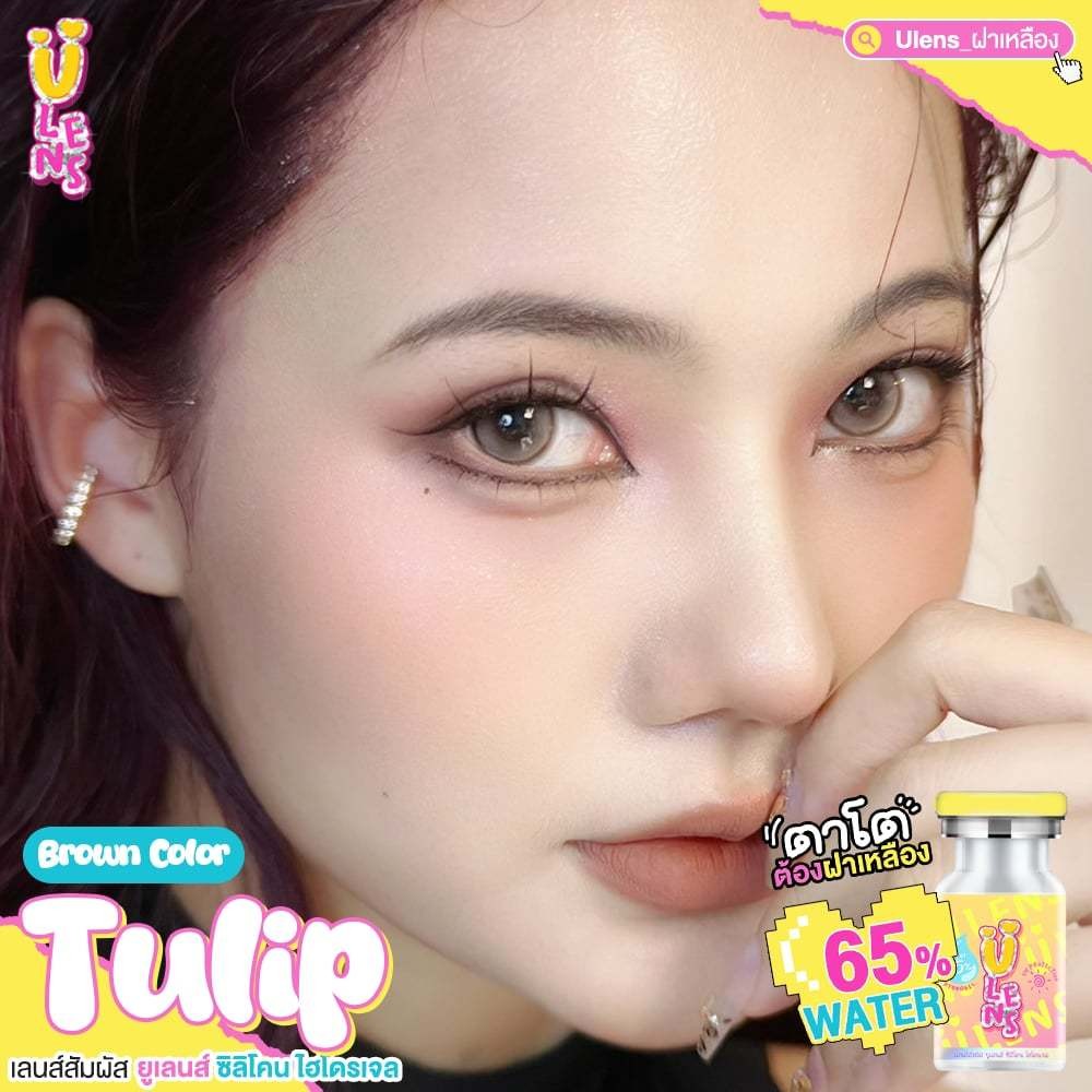 คอนแทคเลนส์ Silicone Hydrogel ขนาดกลาง Tulip (Ulens) สี : Brown / Gray