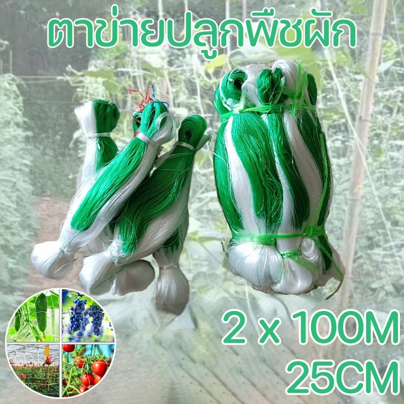 CODตาข่ายปลูกพืชผัก 2x100เมตร ค้างแตง ค้างถั่ว บวบ ค้างผัก ต้นไม้เลื้อยตาข่ายไนล่อน ตาข่ายแตงกวา ตาข่ายปลูกถั่ว