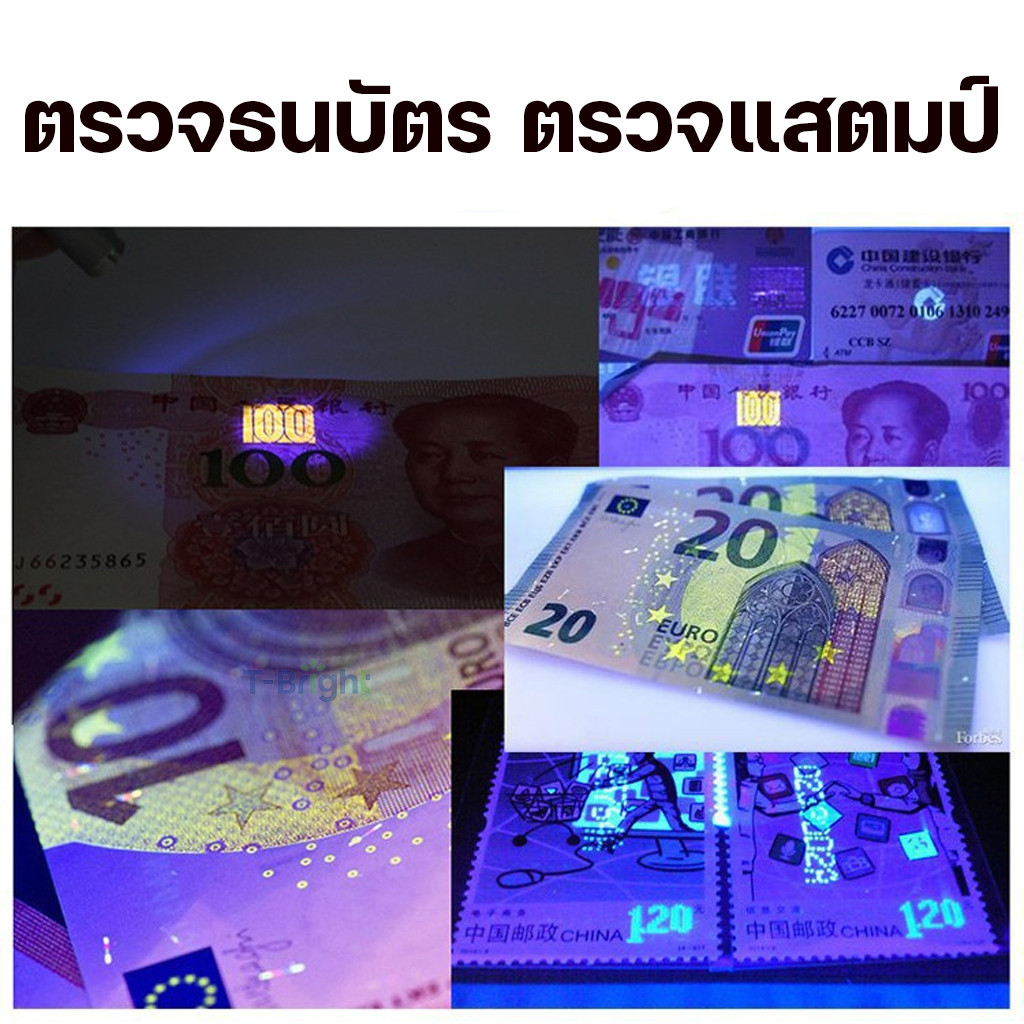 เลเซอร์ล่อแมว ล่อแมว  LED ไฟฉายล่อแมว SPOT PETแถมถ่าน เลเซอร์พกพา  แสงเลเซอร์ล่อแมว พวงกุญแจ ของเล่นแมว - รูปที่ 6