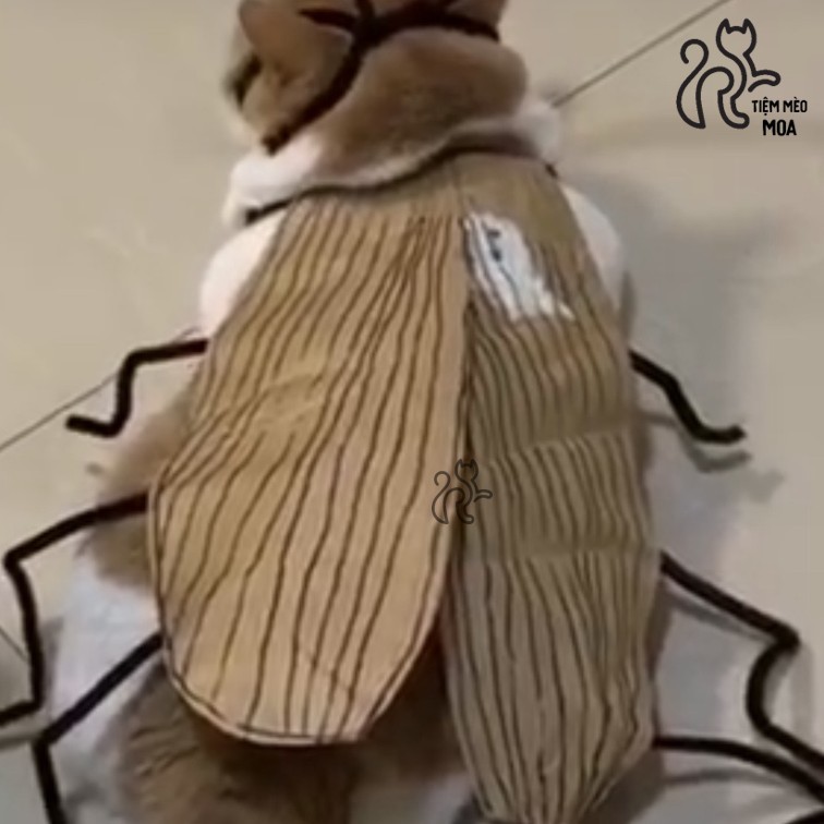 ชุดคอสตูมแมลงสาบสําหรับสัตว์เลี้ยง - อุปกรณ์สัตว์เลี้ยง - Moa Cat Shop