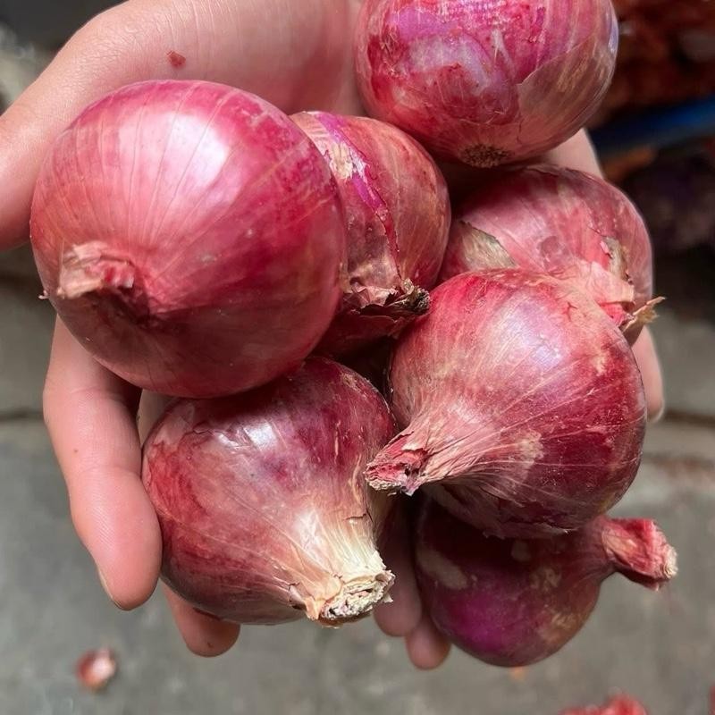 หอมแขกจีน ไซส์ 5-7 เซน ใส่ยำ กลม สวย คัดพิเศษ  น้ำหนัก 1 กิโลกรัม