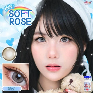 คอนแทคเลนส์(มินิ) รุ่นLimited🔥Mini Soft Rose🔥(LuxzyLens) สี : Brown / Gray / Black รายเดือน มีค่าสายตา