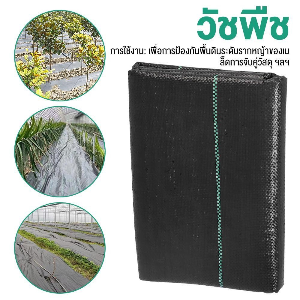 ผ้าคลุมวัชพืช PP ความหนาแน่นสูง | กันหญ้าขึ้น | ระบายน้ำดี | ป้องกันการกัดเซาะดิน | เหมาะสำหรับถนน ส