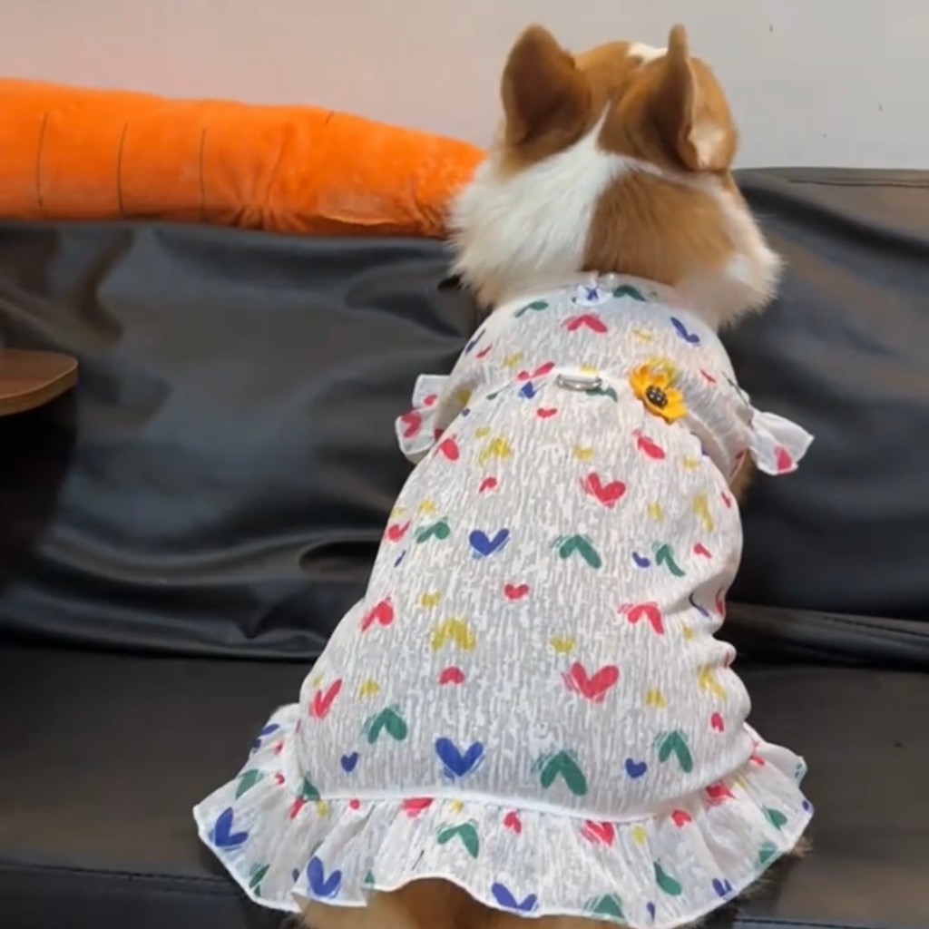 ชุดสุนัขฤดูร้อนผ้าไหมน้ําแข็งเสื้อผ้าสัตว์เลี้ยงสําหรับสุนัขแมวชุดสบายเย็น ส-6เอ็กแอล - รูปที่ 3