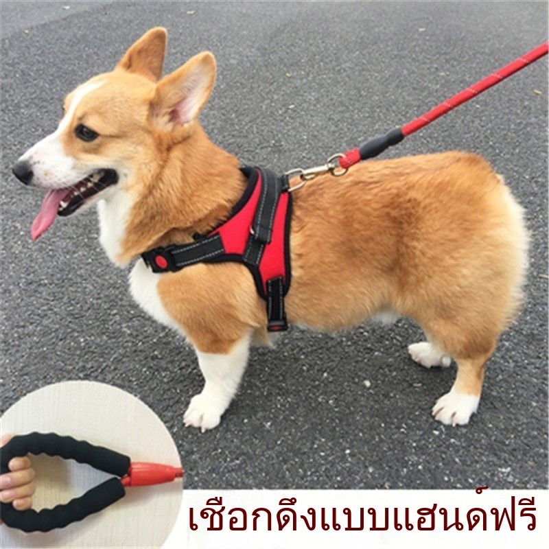 [สุนัขขนาดเล็กขนาดกลางทุ่มเท] สายรัดหน้าอกสุนัขสไตล์สายจูง/สายจูงสุนัขปรับสายรัดสัตว์เลี้ยงสําหรับสุนัขขนาดกลางขนาดเล็กหลายสีหลายขนาดปลอดภัยสบา