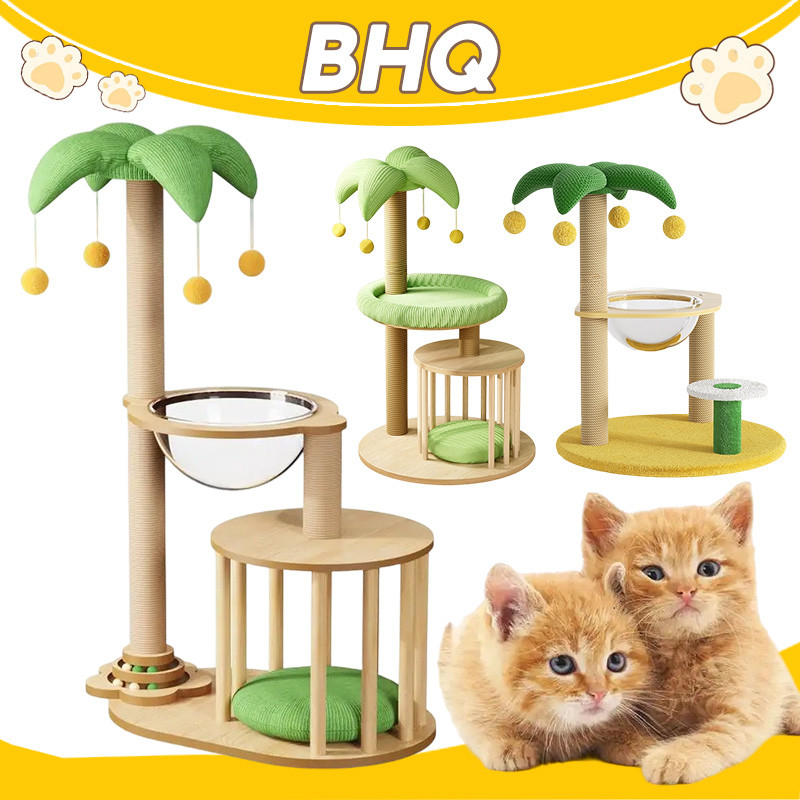 BHQ กรอบปีนแมว คอนโดแมว เสาลับเล็บแมวได้ คอนโดแมวไม้ บ้านแมว กรอบปีนแมวต้นมะพร้าว เหมาะสําหรับแมวหลา