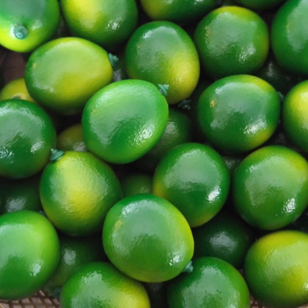 มะนาวปลอม โมเดลมะนาว มะนาวแป้น มะนาว (Lime) เหมือนจริงมาก สําหรับตกแต่งร้านค้า แต่งบ้าน พร๊อพถ่ายรูป