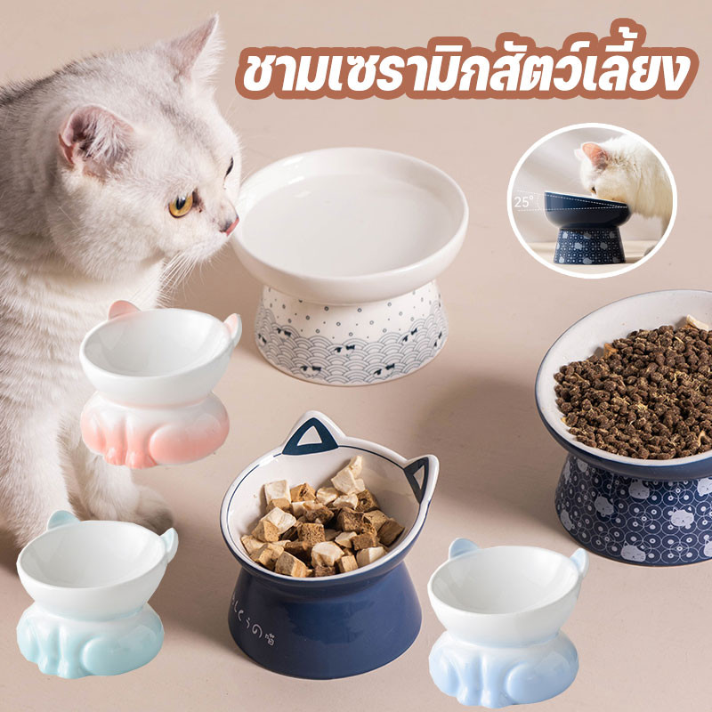 ชามอาหารแมวเซรามิกสไตล์ญี่ปุ่น ดีไซน์เอียง 25° ปกป้องกระดูกสันหลังน้องเหมียว วัสดุเกรดพรีเมียม  ฐานกันลื่น