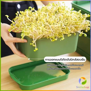 กล่องเพาะถั่วงอก ถาดเพาะต้นอ่อน ไม่ต้องใช้ดิน นำกลับมาใช้ใหม่ได้ 1ชุด bean sprouts tray