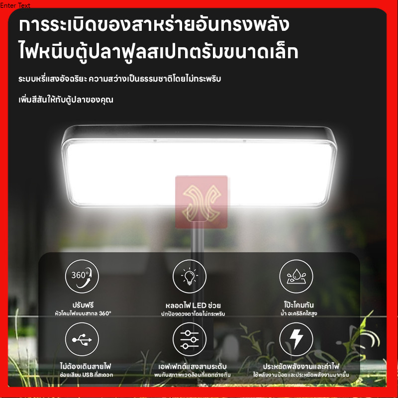 รูปภาพ 2