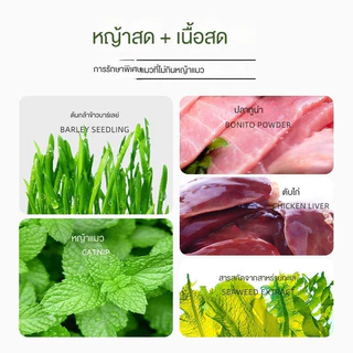 หญ้าแมวฟรีซดราย ขนมแมว ขนมหญ้าแมวบำรุงขน กลิ่นใบมินต์ ช่วยขับขนในลำคอ ขนมสัตว์เลี้ยง