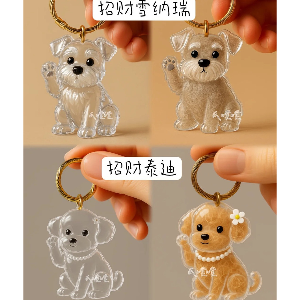 น่ารักสุนัขกล่องเก็บผมกล่องแคปซูลใสมินิจิปาถะออแกไนเซอร์กล่อง