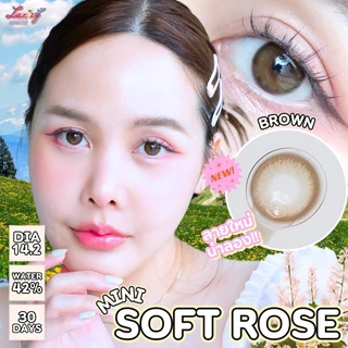 รุ่นลิมิเต็ด คอนแทคเลนส์(มินิ) Mini Soft Rose Brown / Gray / Black (Luxzylens) ⭐️ลายฮิต ขายดีมาก กรองแสงกันยูวี